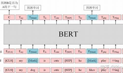 bert源码解析