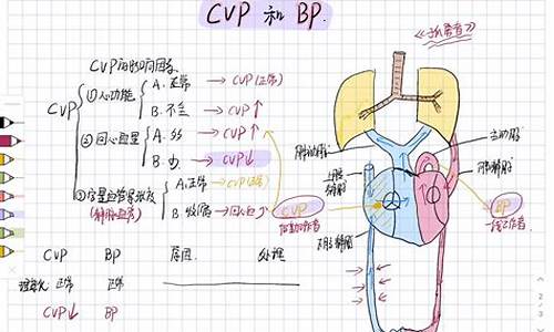 cvp论文源码代码_cvc论文