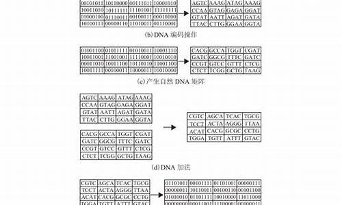 dna验证源码_dna 验证