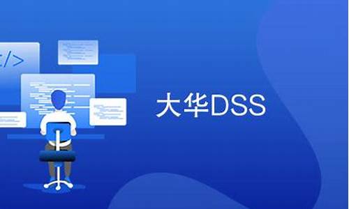 dssd源码