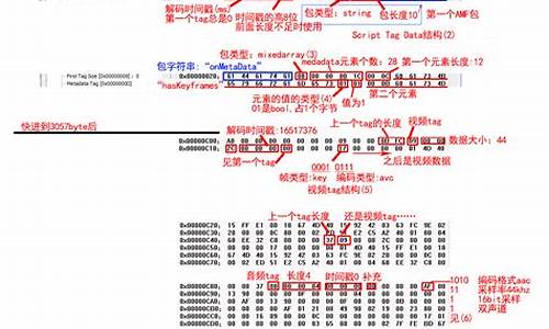 flvparse源码