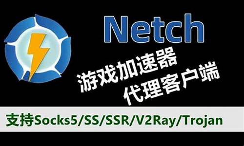 netch源码