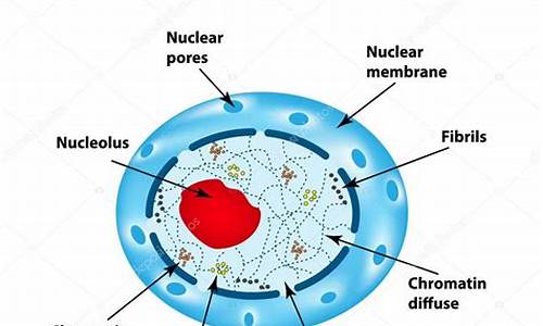 nucleusos源码