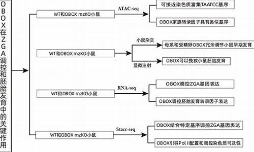 obox源码