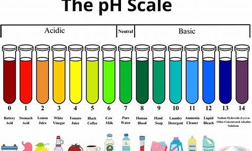 php源码估价