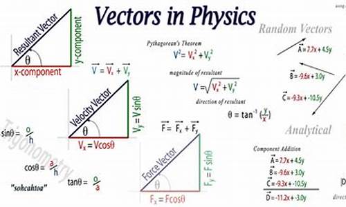 vector源码视频