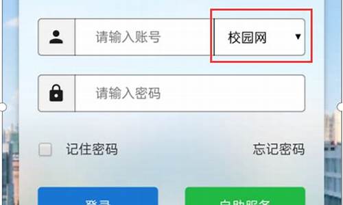 web认证上网源码_web认证上网源码是什么