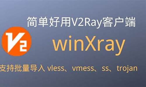 winxray源码编译