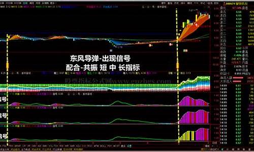 东风导弹股票指标源码_东风导弹股票指标源码是多少