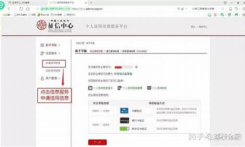 个人征信网上查询系统源码_个人征信查询接口