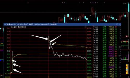 主力拉升黑马卖出指标源码_主力出现黑马拉升主图