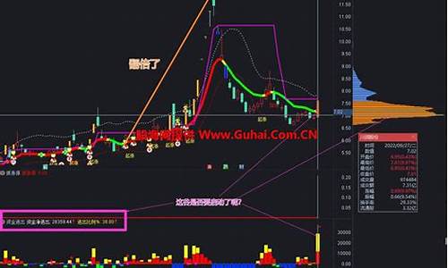 主力进出选股源码_主力进出选股源码是进出进出什么