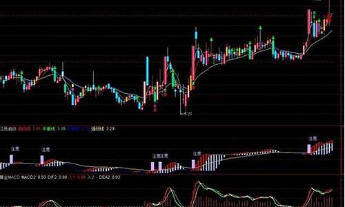 伏击黑马源码_伏击黑马 选股模型