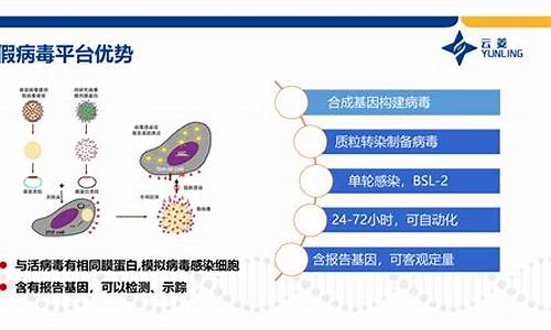 假病毒源码_假病毒代码