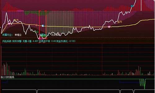 分时IT神器指标源码_分时bs源码