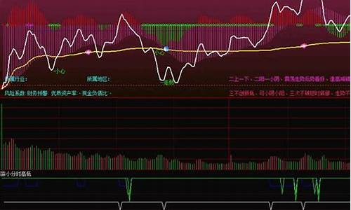 分时买卖指标源码编辑_分时买卖技巧视频