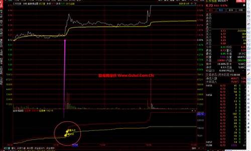 分时图抓涨停指标公式源码_分时图抓涨停选股公式