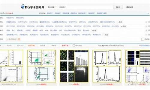 图片检索源码_图片检索源码是什么