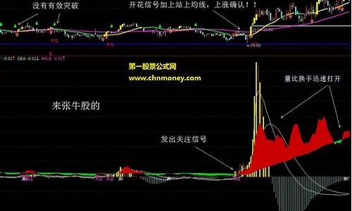 多元素的指标源码_多元素的指标源码是什么