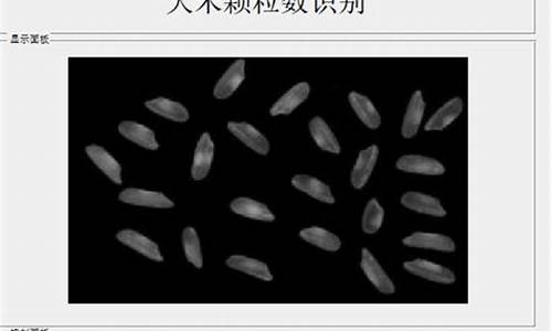 多米粒源码_多米粒邀请码