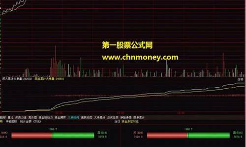 大单金额分时指标源码_大单交易显示分时图公式