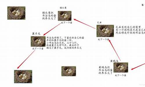 布谷鸟源码_布谷鸟直播源码