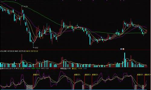 干货指标源码_干货指标源码查询