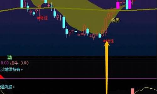 强庄起爆指标源码