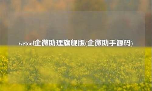 微助手源码