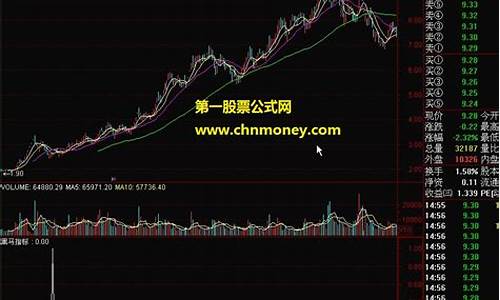 搜索大黑马公式源码_“大黑马”指标源码