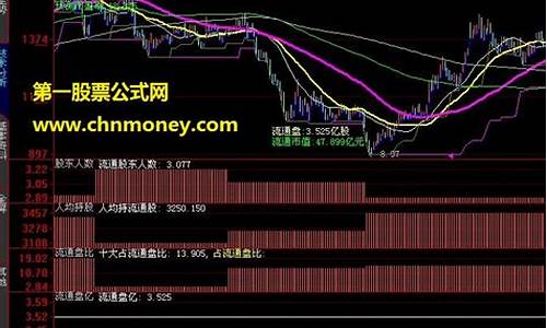 显示十大股东占比公式源码_十大股东比例