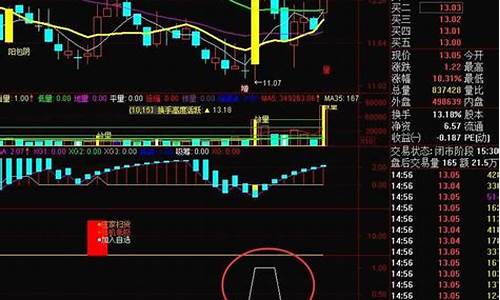 最具确定性的庄股源码_典型庄股