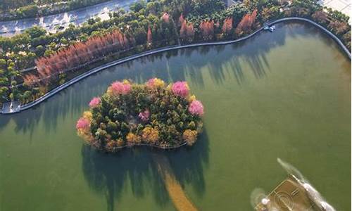 樱花岛源码_樱花岛游戏