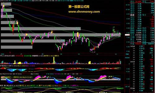 殷保华指标源码_殷保华指标源码2024