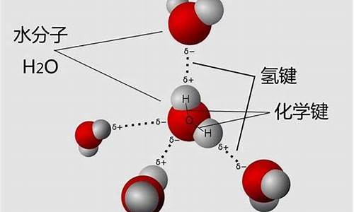 氢键源码_氢键原理