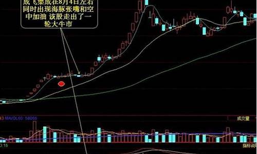 海豚嘴源码_海豚嘴公式