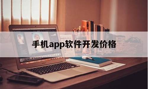 源码APP价格