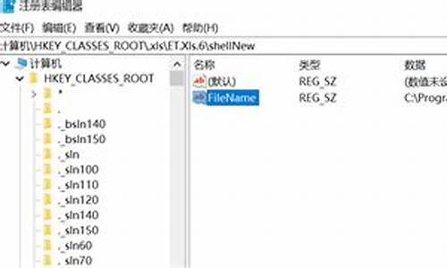 源码扩展名