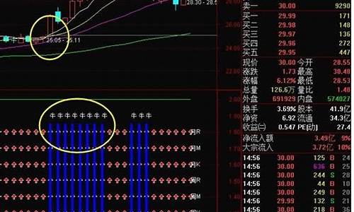 特斯拉指标源码_特斯拉指标源码怎么用