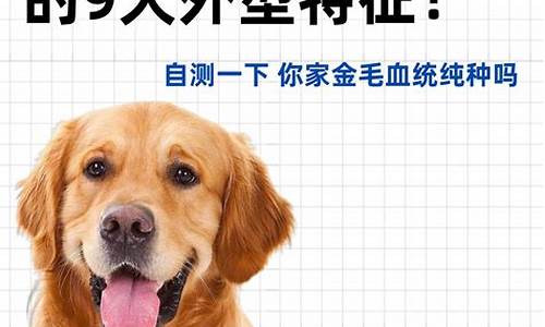 犬类血统库源码_犬血统查询