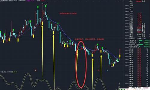 短线操作指标源码怎么用_短线操作指标源码怎么用的