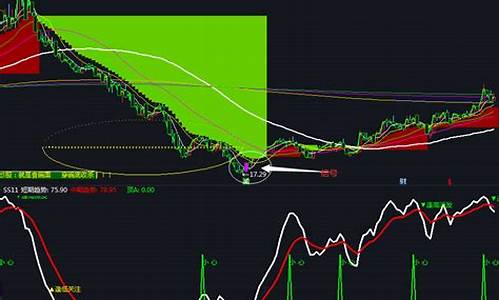 神奇主图升级源码_神奇主图升级源码怎么用