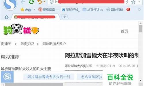 离线网页恐龙源码_离线网页恐龙源码怎么用