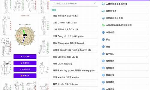 穴位网站源码