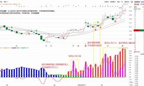 经传多赢主力动向指标源码_经传多赢主力追踪指标