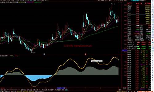 绝底关注指标源码_绝底指标公式