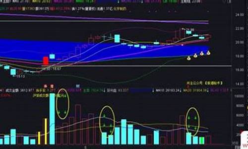 股道秘术指标源码_股秘籍网