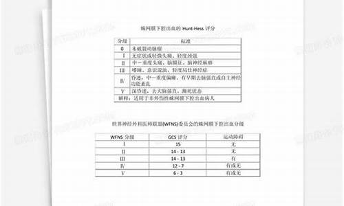 蛛网评分源码_蛛网评分源码是什么