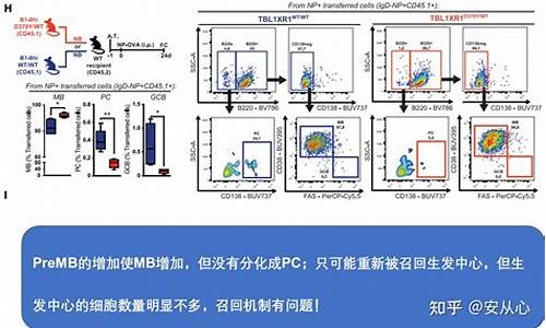 诱导程序源码_诱导程序源码是诱导源码诱导源码<strong>源码运算溢出</strong>什么