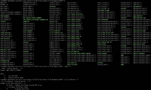 运行linux源码_linux 源代码